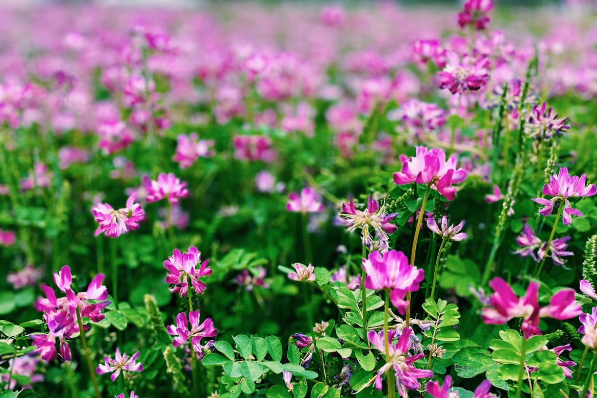 Processed with VSCO with c1 preset