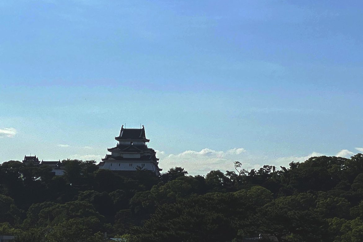 IMG_5353 のコピー