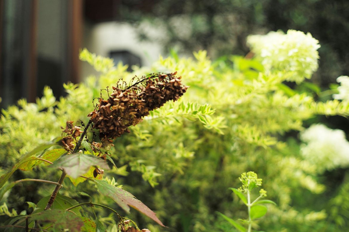 L1001166 のコピー