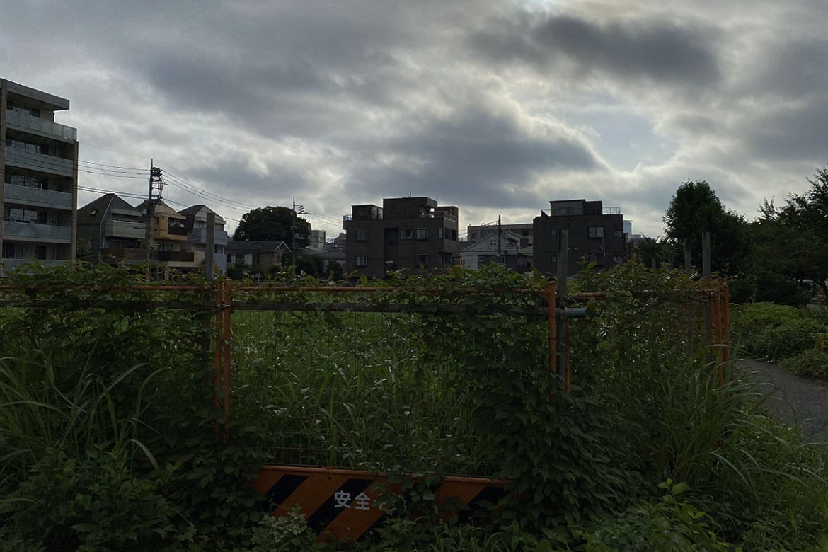 IMG_5574 のコピー