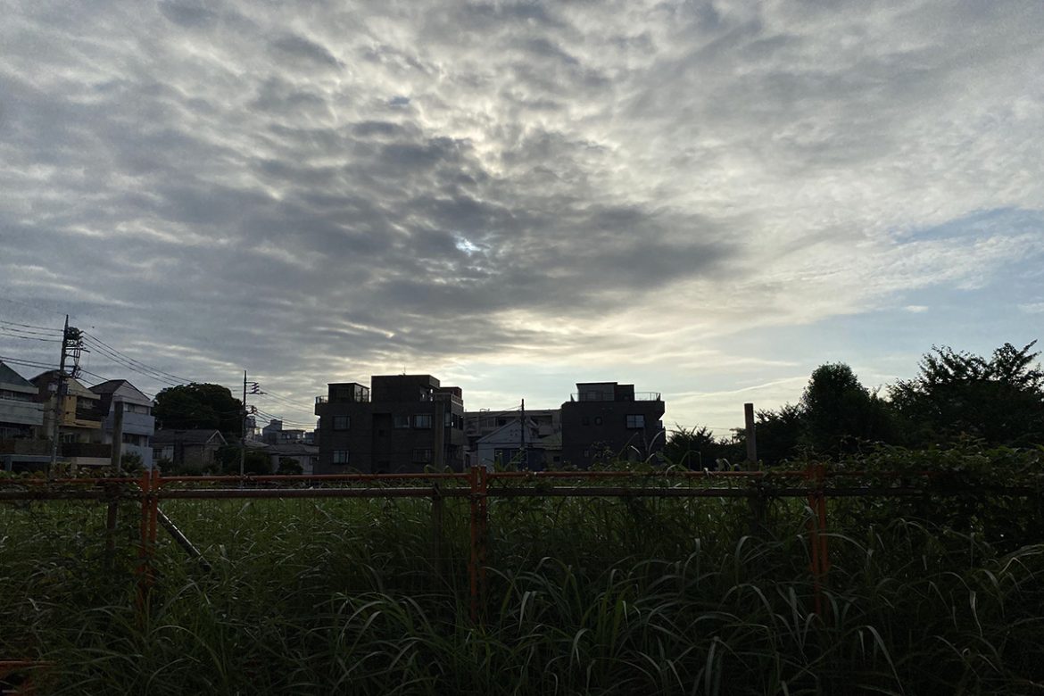 淡島1