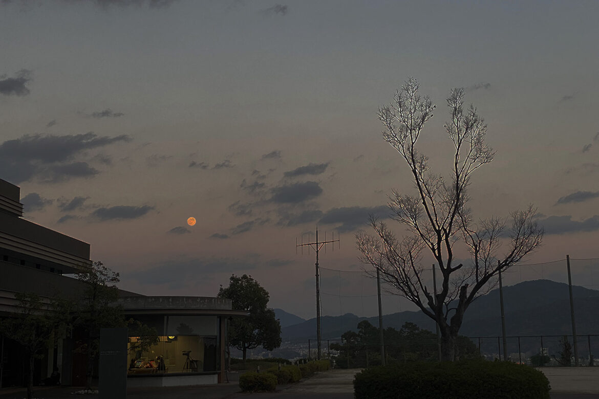 IMG_6743 のコピー