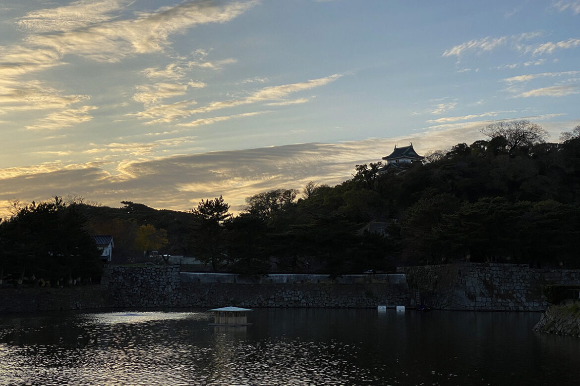 IMG_6767 のコピー