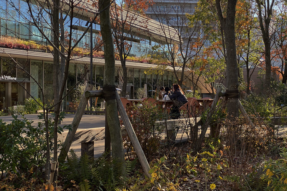 IMG_6891 のコピー