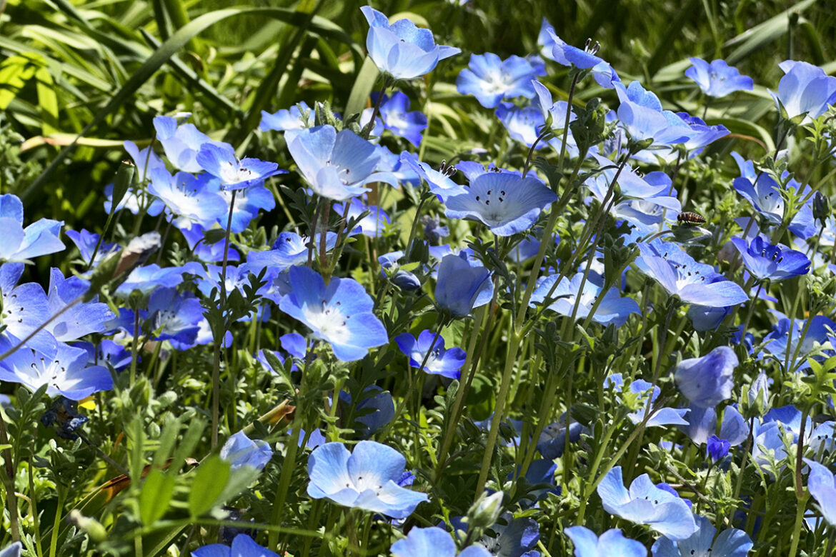 IMG_7581 のコピー