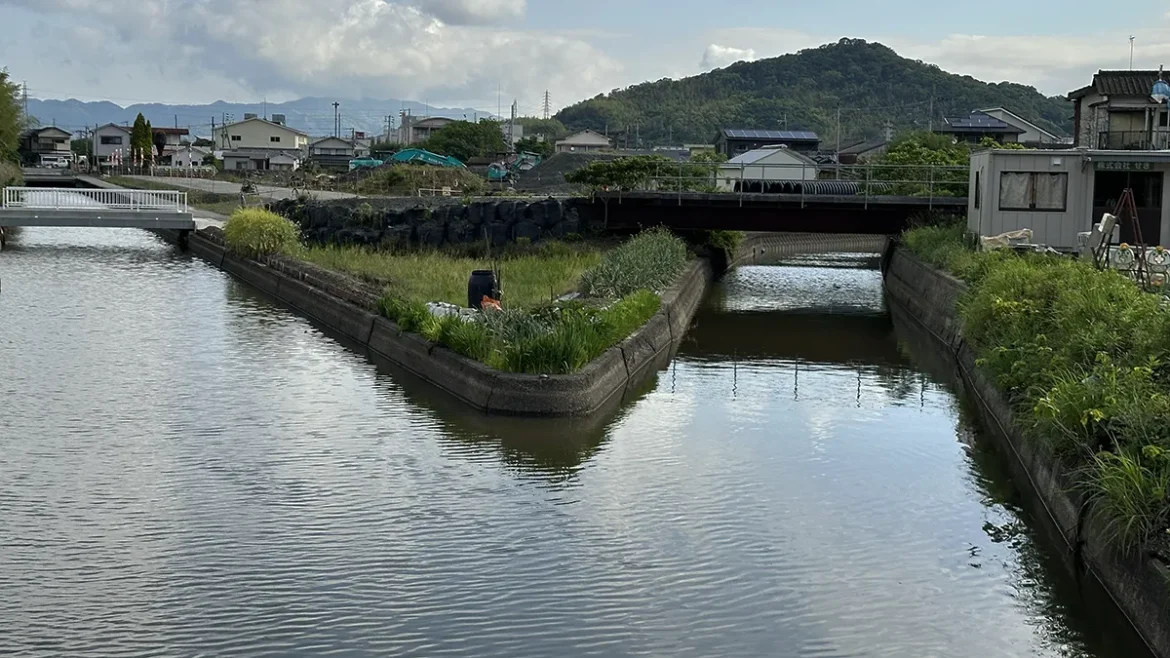 IMG_7705 のコピー