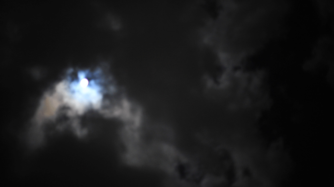 NGT_5989
