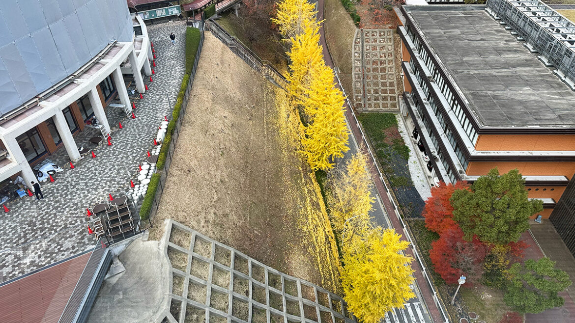 IMG_1375